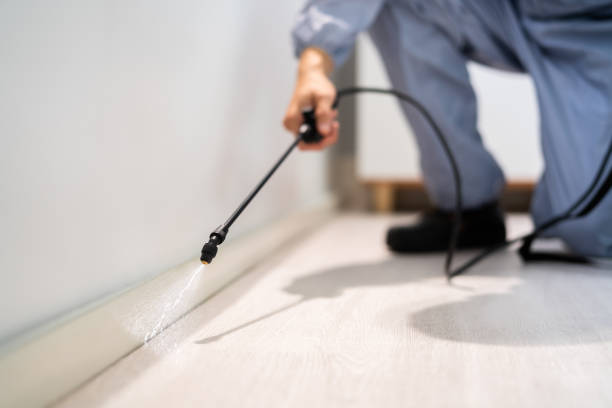 Certified termite inspector examining foundation in Hollymead